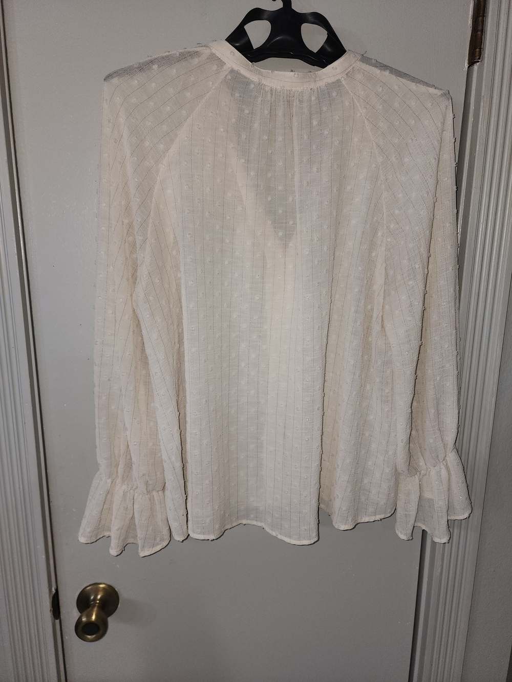 Zara Ivory Ruffle Front Sheer Blouse - Picture 7 of 12